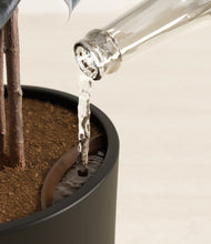 Load image into Gallery viewer, Black stand:all