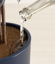 Load image into Gallery viewer, Deep Navy stand:all