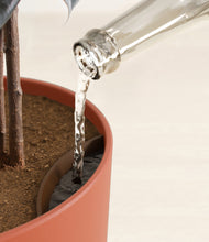 Load image into Gallery viewer, Earth Red stand:all