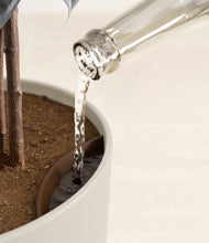 Load image into Gallery viewer, Natural Bamboo stand:all