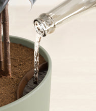 Load image into Gallery viewer, Sage Green stand:all