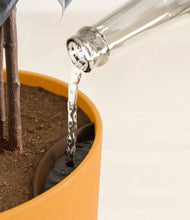 Load image into Gallery viewer, Sunset Orange stand:all