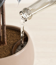 Load image into Gallery viewer, Desert Brown stand:all