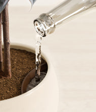 Load image into Gallery viewer, Shiny EggWhite stand:all