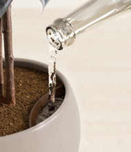 Load image into Gallery viewer, Eternal Gray stand:all