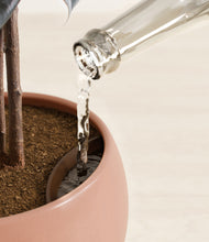 Load image into Gallery viewer, Calm Rose stand:all