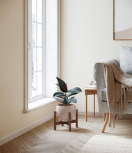 Load image into Gallery viewer, Desert Brown stand:walnut