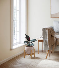 Load image into Gallery viewer, Desert Brown stand:bamboo