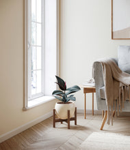 Load image into Gallery viewer, Shiny EggWhite stand:walnut