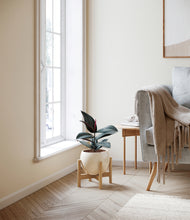 Load image into Gallery viewer, Shiny EggWhite stand:bamboo