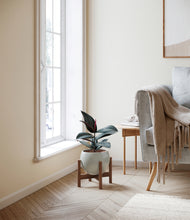 Load image into Gallery viewer, Deep Ocean stand:walnut