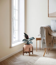 Load image into Gallery viewer, Calm Rose stand:walnut