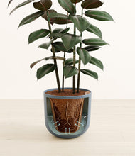 Load image into Gallery viewer, Sunset Orange stand:all