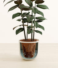 Load image into Gallery viewer, Earth Red stand:all