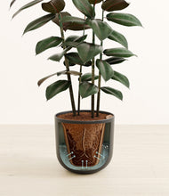 Load image into Gallery viewer, Sage Green stand:all