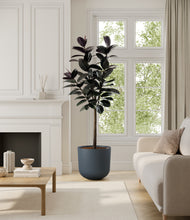 Load image into Gallery viewer, Iron Gray*****Profile