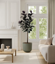 Load image into Gallery viewer, Sage Green*****Profile