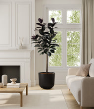 Load image into Gallery viewer, Stone Black*****Profile