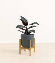 Load image into Gallery viewer, Iron Gray stand:bamboo