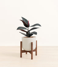 Load image into Gallery viewer, Natural Bamboo stand:walnut