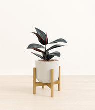 Load image into Gallery viewer, Natural Bamboo stand:bamboo