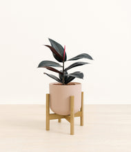 Load image into Gallery viewer, Sandy Pink stand:bamboo