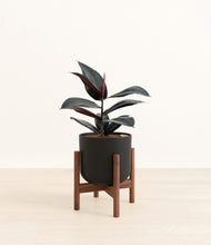 Load image into Gallery viewer, Stone Black stand:walnut