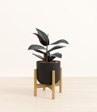 Load image into Gallery viewer, Stone Black stand:bamboo