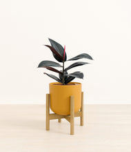 Load image into Gallery viewer, Sunset Orange stand:bamboo