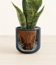 Load image into Gallery viewer, Twilight Blue stand:all