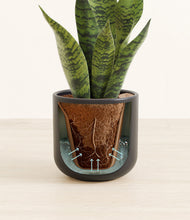 Load image into Gallery viewer, Stone Black stand:all