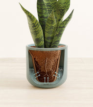 Load image into Gallery viewer, Reactive Aqua stand:all