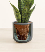 Load image into Gallery viewer, Iron Gray stand:all