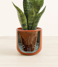 Load image into Gallery viewer, Glossy Red stand:all