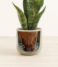 Load image into Gallery viewer, Sage Green stand:all