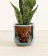 Load image into Gallery viewer, Misty Blue stand:all