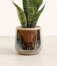 Load image into Gallery viewer, Eternal Gray stand:all