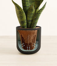 Load image into Gallery viewer, Stone Black stand:all