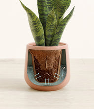 Load image into Gallery viewer, Calm Rose stand:all