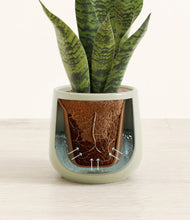 Load image into Gallery viewer, Turquoise stand:all