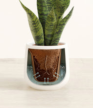 Load image into Gallery viewer, White stand:all