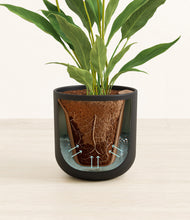 Load image into Gallery viewer, Stone Black