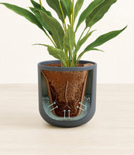 Load image into Gallery viewer, Iron Gray