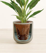 Load image into Gallery viewer, Sage Green