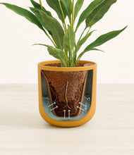 Load image into Gallery viewer, Sunset Orange