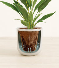 Load image into Gallery viewer, Natural Bamboo