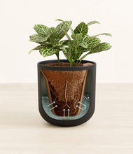 Load image into Gallery viewer, Stone Black