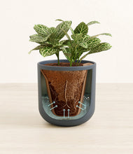 Load image into Gallery viewer, Iron Gray