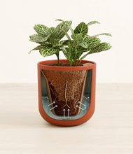 Load image into Gallery viewer, Earth Red