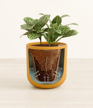 Load image into Gallery viewer, Sunset Orange